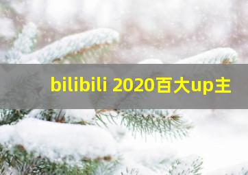 bilibili 2020百大up主